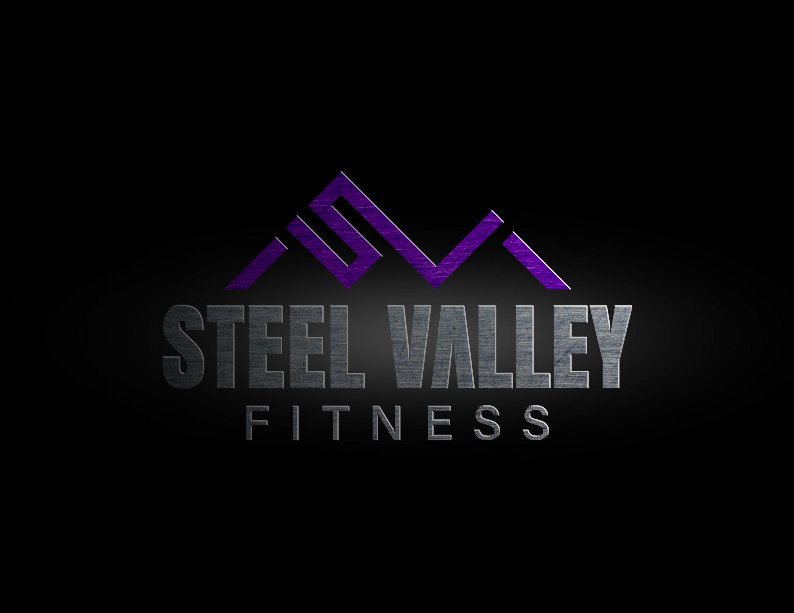 steelvalleyfitnessllc